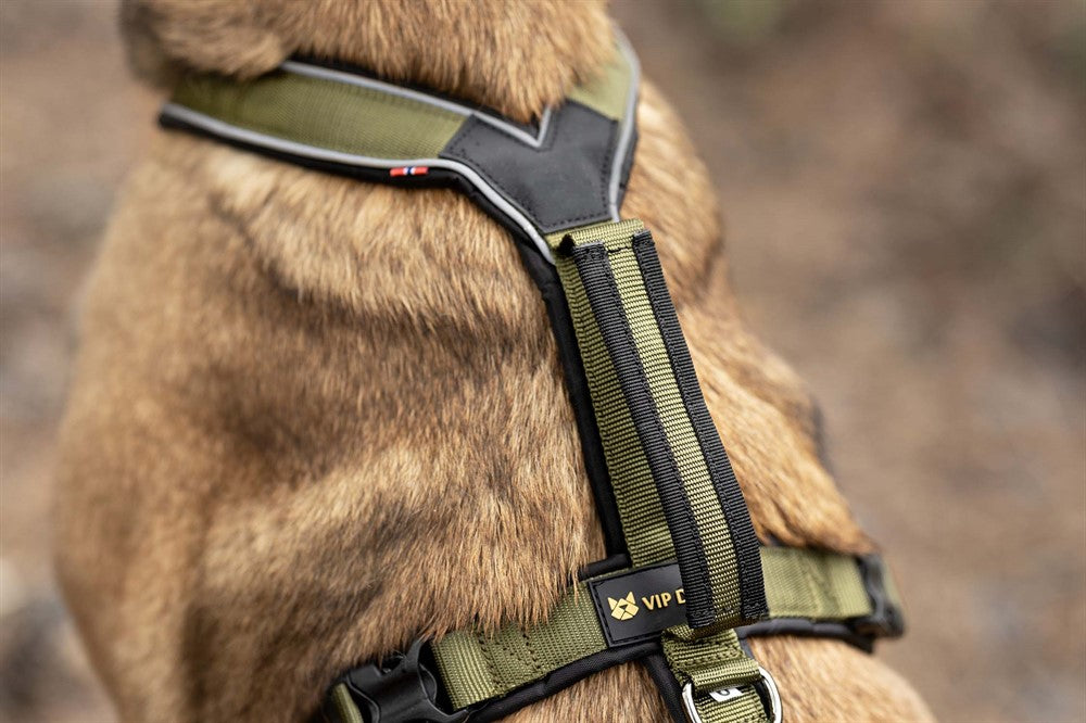 VIP Sele, Tracker Pro, nr 2, olive