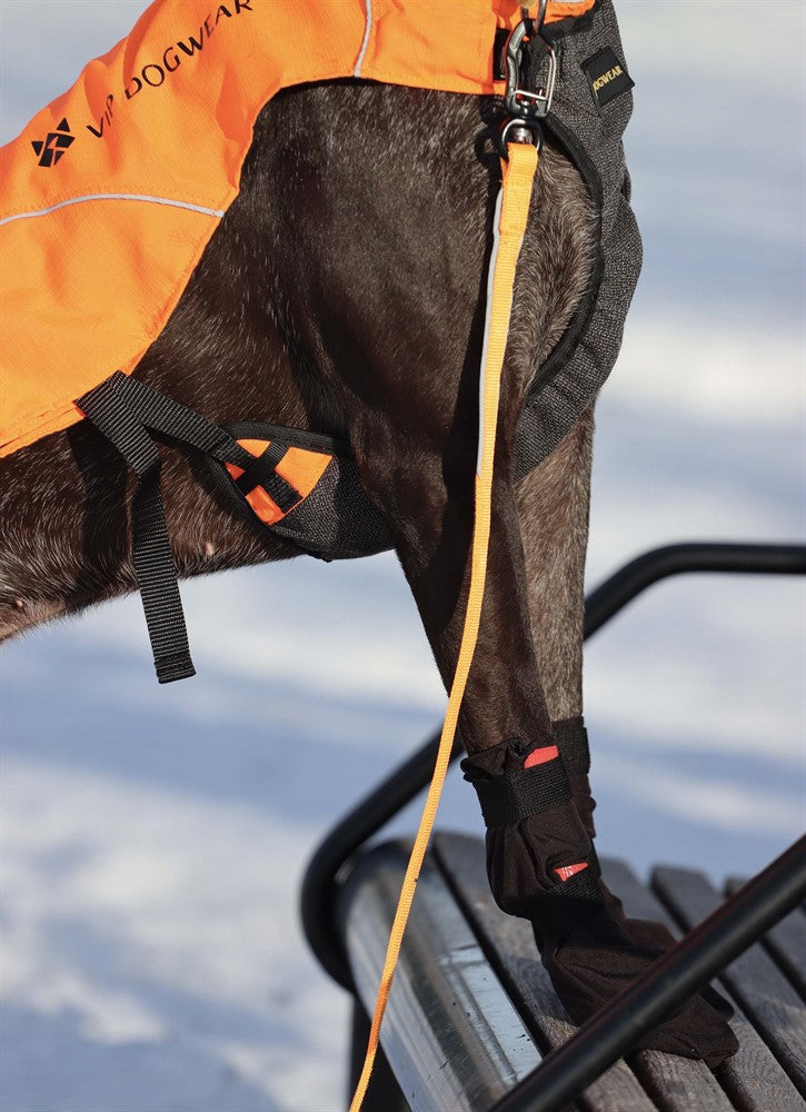 VIP Hundsko Finnmark hög, XS, 4-pack