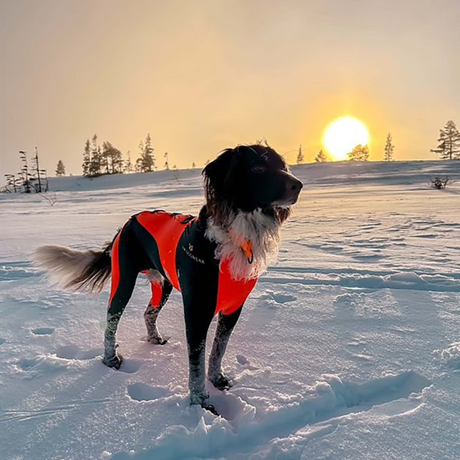 VIP Dogwear Snow Protect skyddsdress hane – M, orange