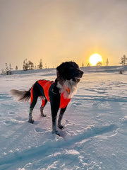 VIP Snow Protect skyddsdress tik, S, orange