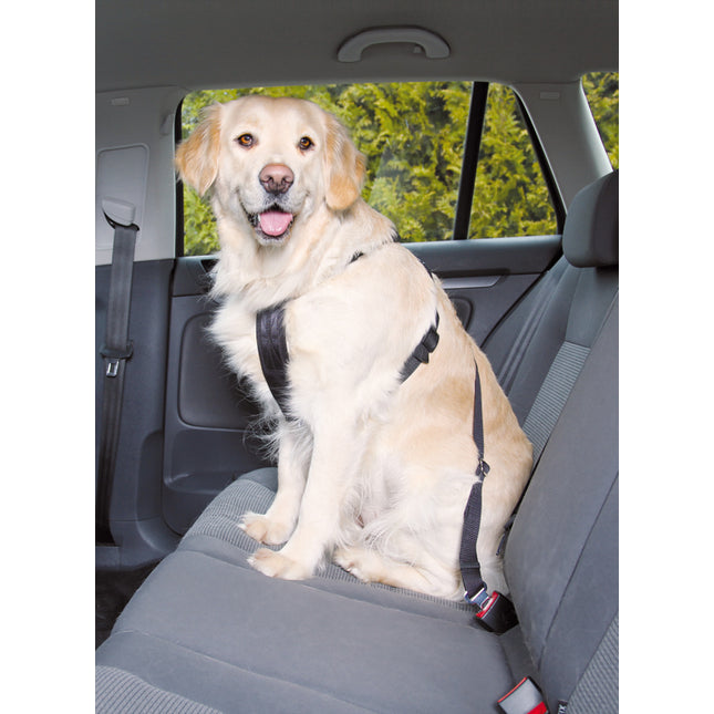 Trixie Bilsele för hund – Medium, omkrets 50–70 cm
