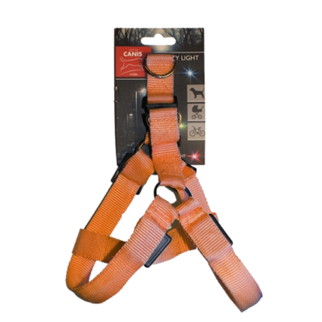 Active Canis LED-sele – XL, Orange