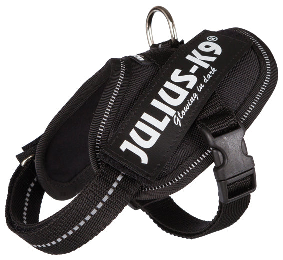 Julius-K9® IDC sele, Baby 2/XS-S: 33-45 cm/18 mm, svart