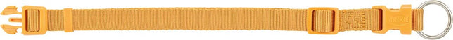 Trixie Premium halsband – XXS-XS, hals 15–25 cm, 10 mm, curry