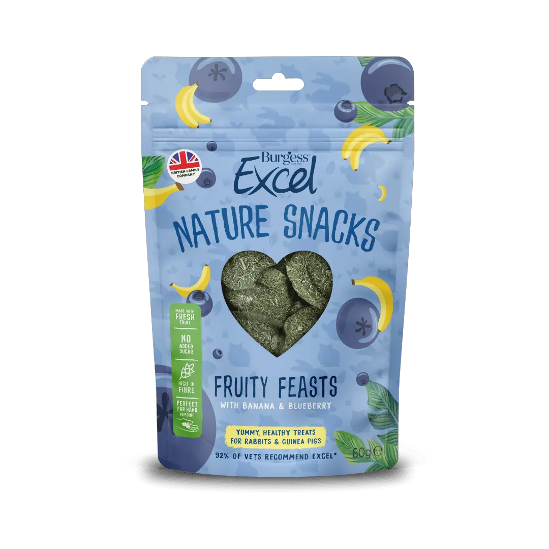 Burgess Excel Natures Snack Fruit Feasts 60g x 6
