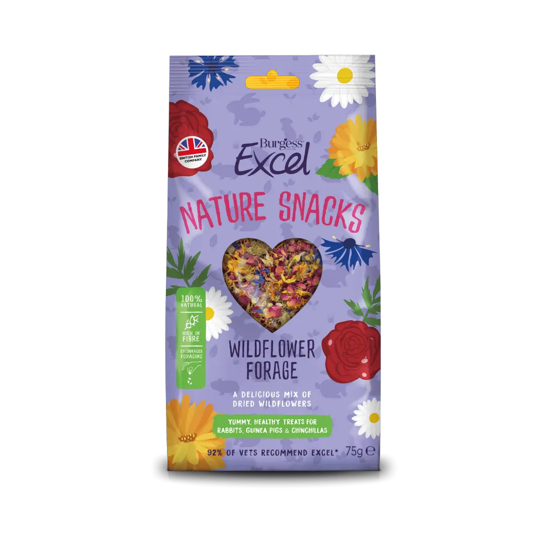 Burgess Excel Wildflower Forage 75g x 6