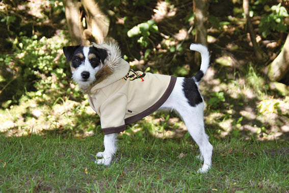 Hundpullover Vancouver Beige 22 cm