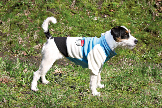 Hundpullover Toronto Blå/Vit/Sv. 45 cm