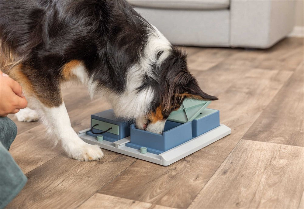 Dog Activity Poker Box 1, Nivå 2, 31 x 31 cm