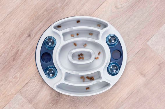Dog Activity Slide & Feed, Nivå 1, 30 × 27 cm