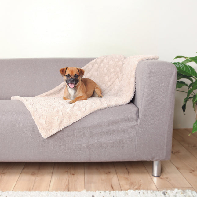 Trixie Cosy filt, plysch – 100 × 70 cm, beige