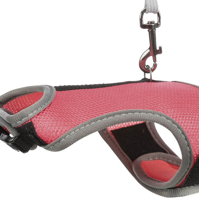 Trixie Softsele+koppel, stor kanin – 25–40 cm, 1,20 m