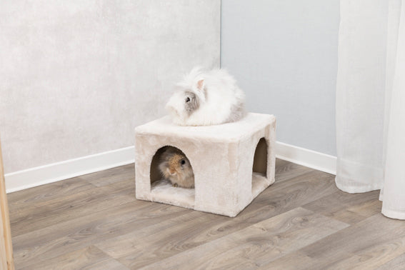 Igloo for kanin/marsvin, plysch,36 × 25 × 36 cm, beige