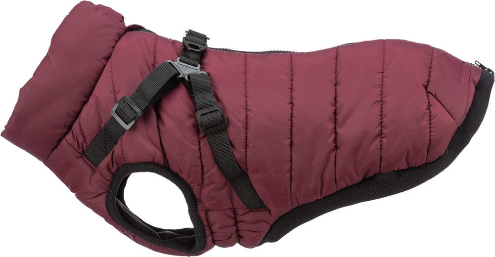 Vintertäcke m. sele Pirou, S: 33 cm, sangria