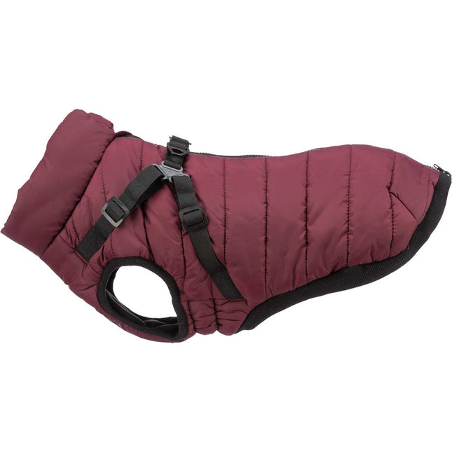 Vintertäcke m. sele Pirou, XS: 30 cm, sangria