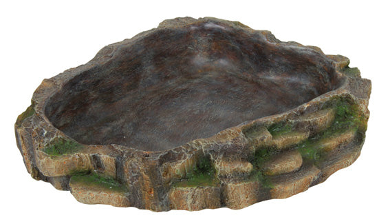 Reptilskål, 24 × 5.5 × 20 cm
