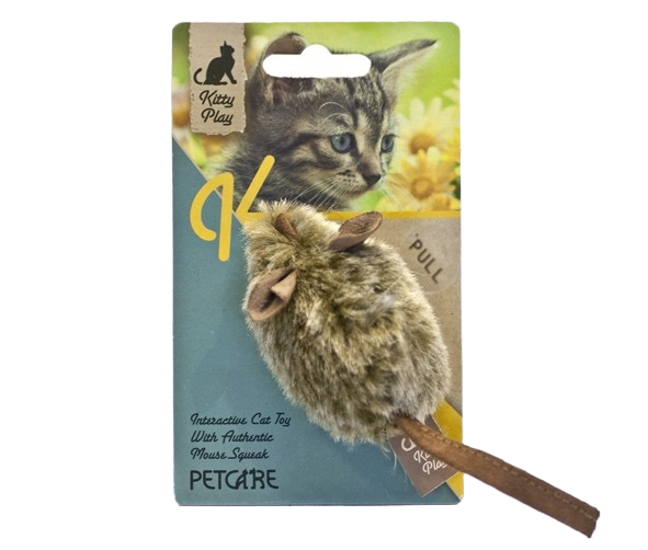 Kitty Play Mouse Hunter