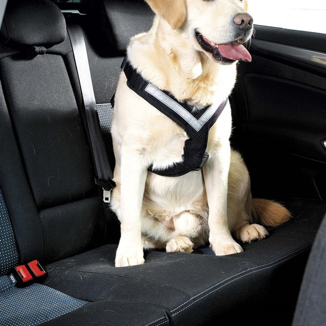 MIM AllSafe hundsele – XL