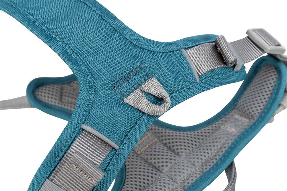 Premium spårsele Active, XS-S: 30-40 cm/15 mm, petrol