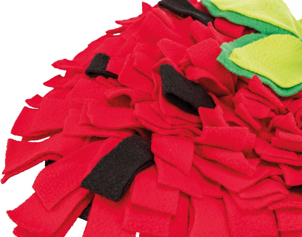 Sniffing Carpet, 33 × 40 cm, röd