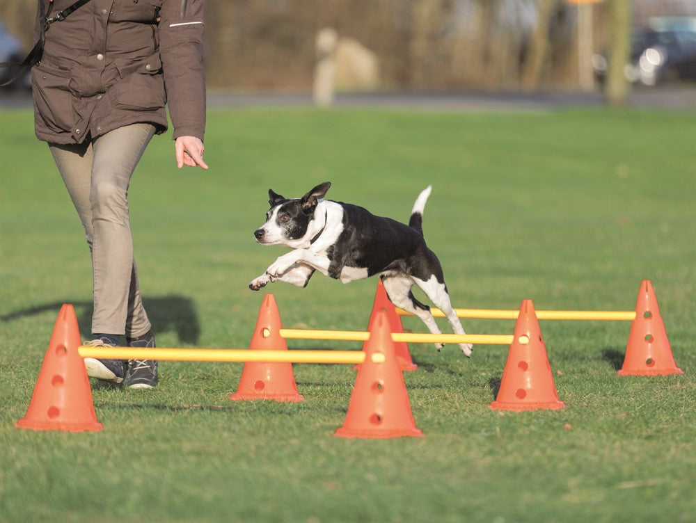 Dog Activity Hinderset 3 hinder, ø23×30cm, 78cm, orange & gul