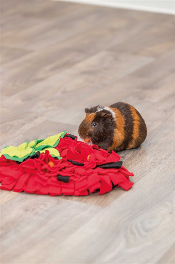 Sniffing Carpet, 33 × 40 cm, röd