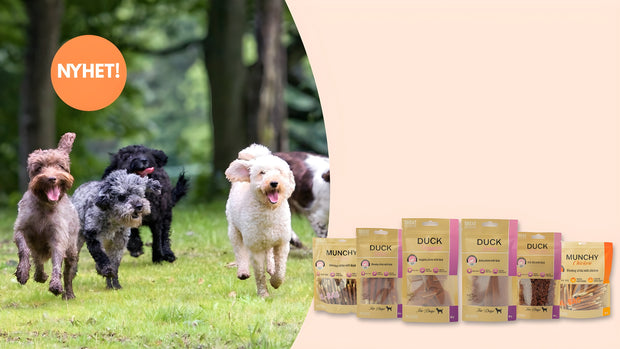 <h2>Nyhet hos oss</h2>