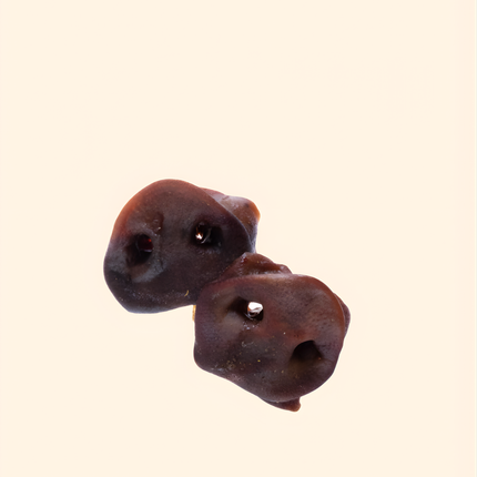 Treateaters Pig nose black large 4-pcs