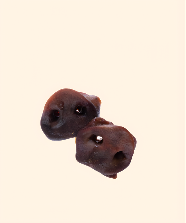 Treateaters Pig nose black large 4-pcs