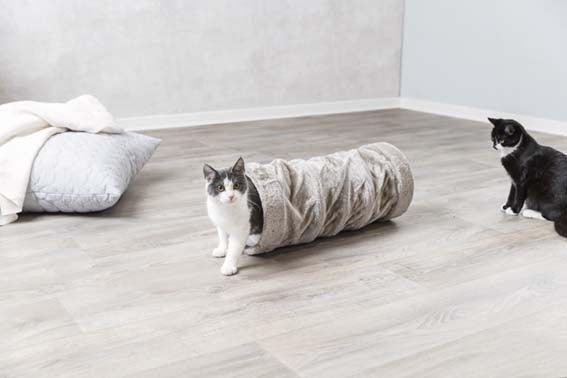 Kattunnel, plysch, ø 22 × 60 cm, grå