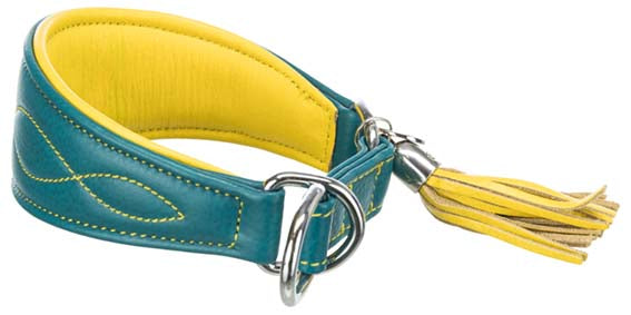 Active Comfort halsband för vinthund, XS-S: 24-31 cm/50 mm, petrol