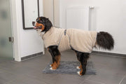 Hund med Trixie badrock i beige och grå mikrofiber