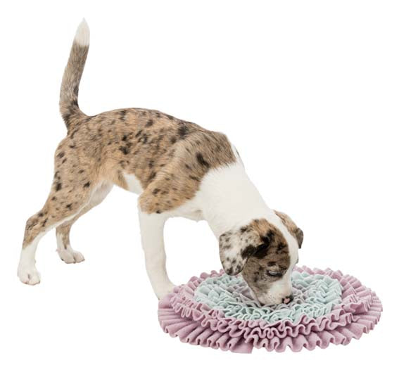 Junior Sniffing Carpet, Nivå 1, ø 38 cm"