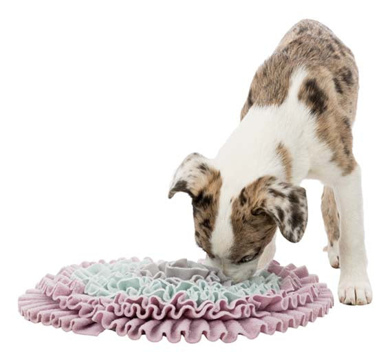 Junior Sniffing Carpet, Nivå 1, ø 38 cm"