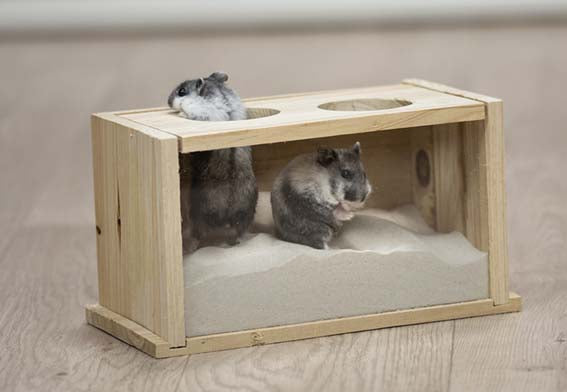 Sandbad, mus/hamster, trä, 20 × 12 × 12 cm