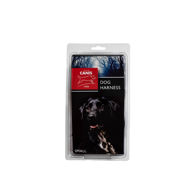 Active Canis hundsele – Small